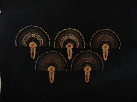 turkey taxidermy by Jason's Taxidermy