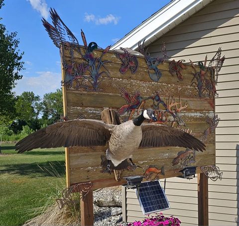 Canada Goose – Flying – waterfowl taxidermy by Jason's Taxidermy