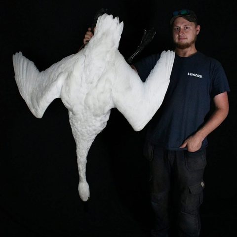 Customer with their finished mount from Jason's Taxidermy