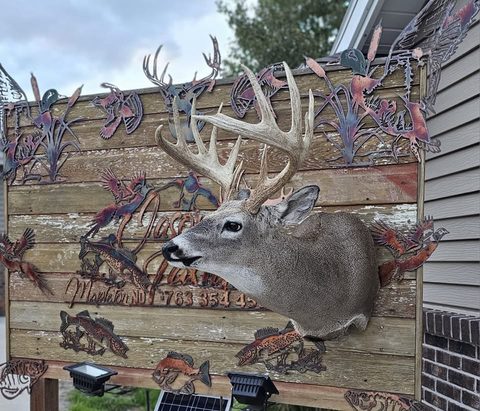 whitetail deer taxidermy by Jason's Taxidermy
