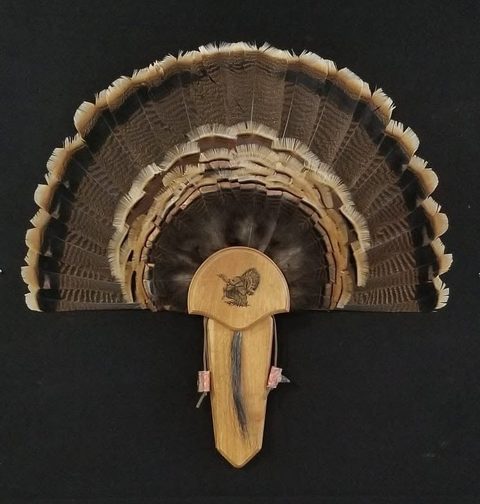 turkey taxidermy by Jason's Taxidermy