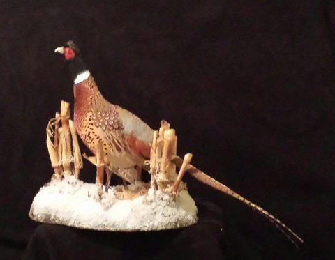 upland game bird taxidermy by Jason's Taxidermy