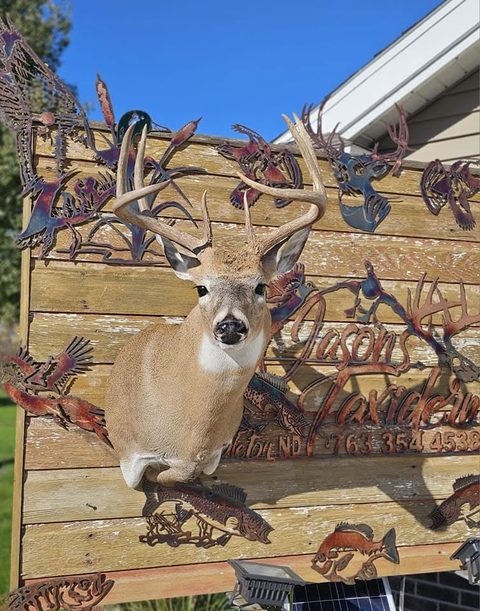 whitetail deer taxidermy by Jason's Taxidermy