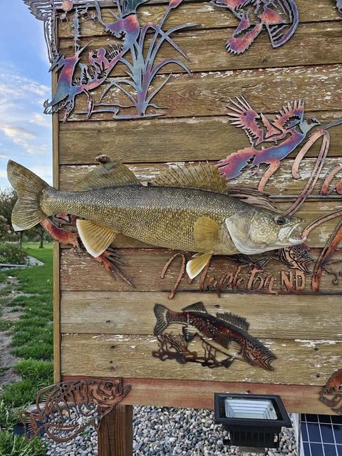 fish taxidermy by Jason's Taxidermy
